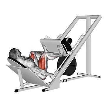Wide Leg Press