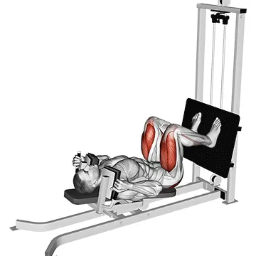 Lying Leg Press