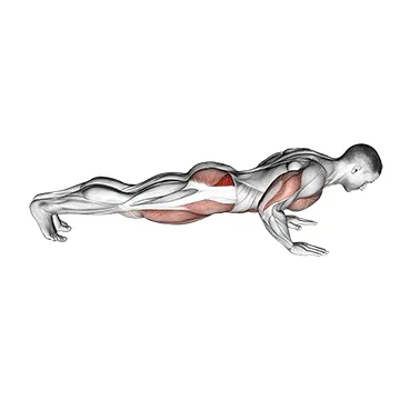 Spider Crawl Push-Up