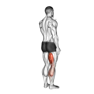 Standing Single-Leg Curl