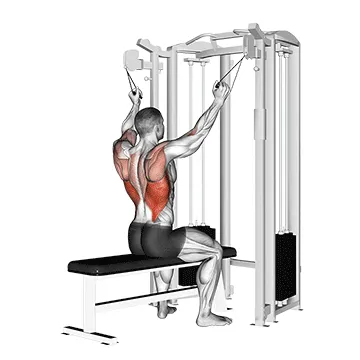 Neutral-Grip Cable Lat Pulldown
