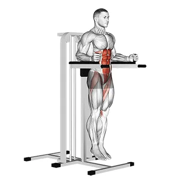 Parallel Bar Straight-Leg Raise