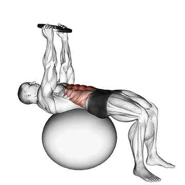 Weighted Stability Ball Overhead Crunch