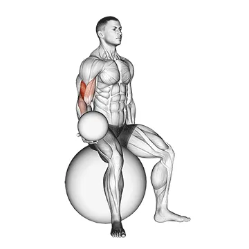 Medicine Ball Curl on Stability Ball