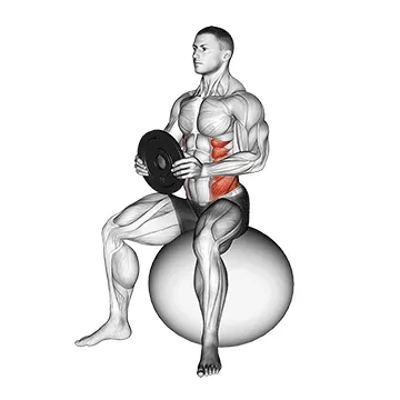 Weighted Stability Ball Seated Twist