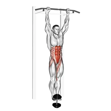 Weighted Hanging Leg-Hip Raise