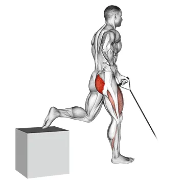 Band Single-Arm Bulgarian Split Squat
