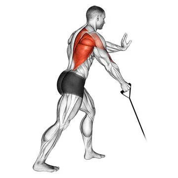 Band Single-Arm Standing Low Row