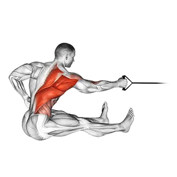 Band Single-Arm Twisting Seated Row