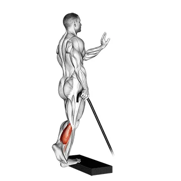 Band Single-Leg Calf Raise