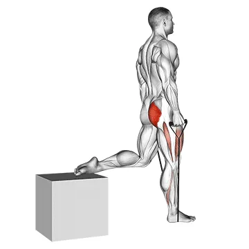 Band Bulgarian Split Squat