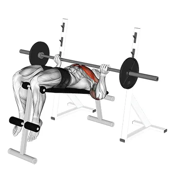 Barbell Reverse-Grip Decline Bench Press