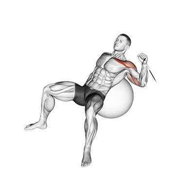 Cable Single-Arm Incline Press on Stability Ball