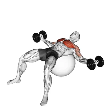 Dumbbell Fly on Stability Ball