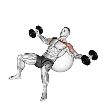 Dumbbell Incline Fly on Stability Ball