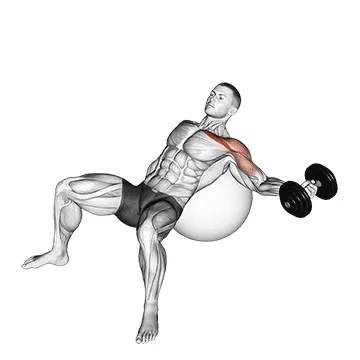 Dumbbell Incline Single-Arm Fly on Stability Ball