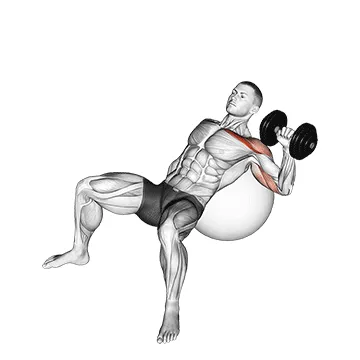 Single-Arm Incline Stability Ball Press