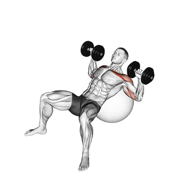 Dumbbell Incline Press on Stability Ball