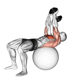 Dumbbell Lying Pullover on Stability Ball
