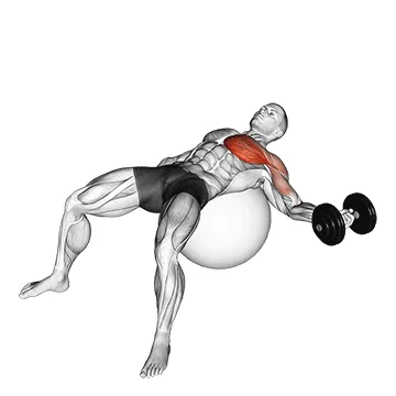Dumbbell Single-Arm Chest Fly on Stability Ball