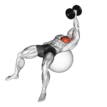 Dumbbell Single-Arm Fly on Stability Ball