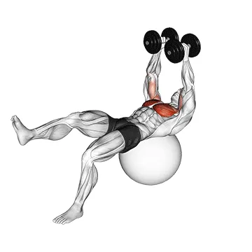 Single-Leg Dumbbell Fly on Stability Ball