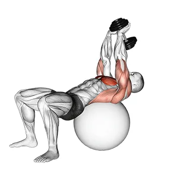 Dumbbell Pullover on Stability Ball