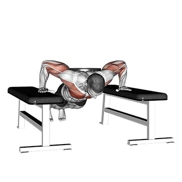 Weighted Drop Push-Up
