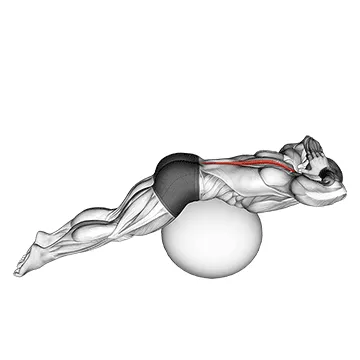 Stability Ball Back Extension