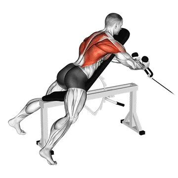 Incline Bench Cable Row (Rope)