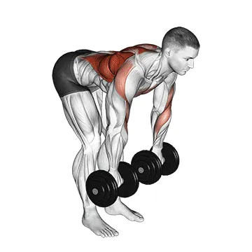 Rotating-Grip Dumbbell Bent-Over Row