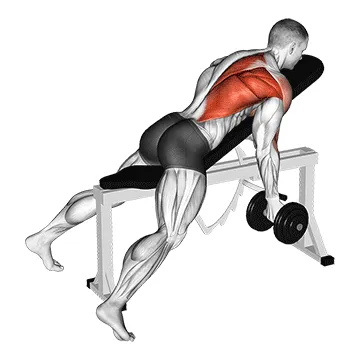 Single-Arm Reverse-Grip Incline Dumbbell Row