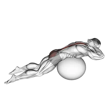 Hands-Behind-Head Stability Ball Back Extension