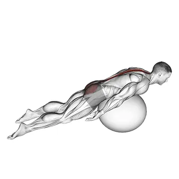 Knees-Raised Stability Ball Back Extension