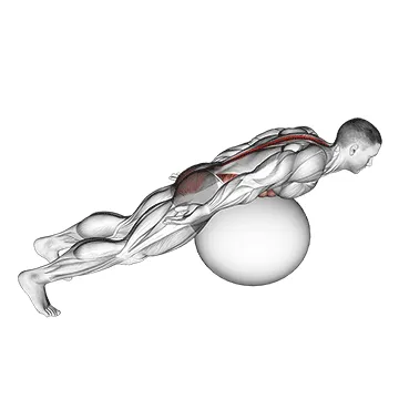Stability Ball Back Extension with Rotation