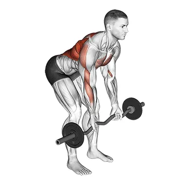 EZ-Bar Reverse-Grip Bent-Over Row