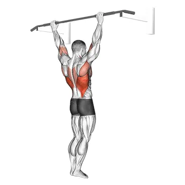 Wide-Grip Rear Pull-Up