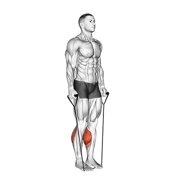 Standing Band Calf Raise