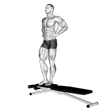Box Jump Down with Single-Leg Stabilization