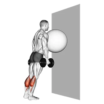 Wall-Supported Dumbbell Calf Raise