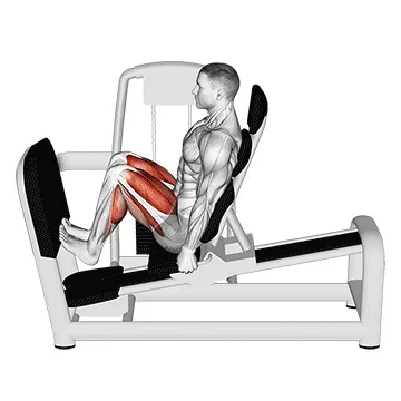Seated Leg Press Calf Raise