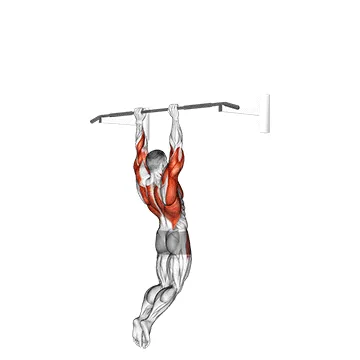 Muscle-Up