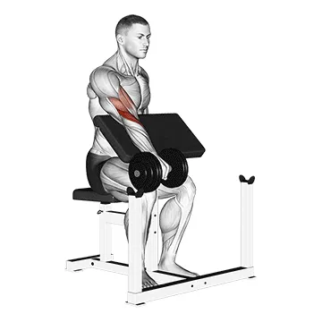 Dumbbell Single-Arm Reverse Preacher Curl