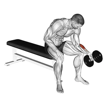 Single-Arm Neutral-Grip Dumbbell Wrist Curl