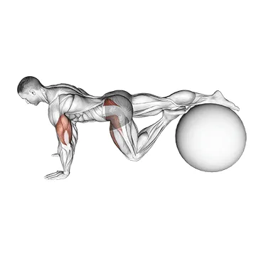 Single-Leg Prone Stability Ball Rotation