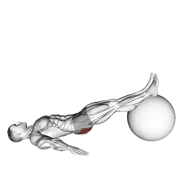 Single-Leg Stability Ball Hamstring Curl
