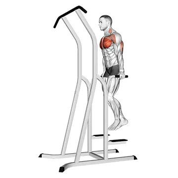 Dip Station Chest Dip