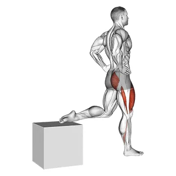 Single-Leg Squat