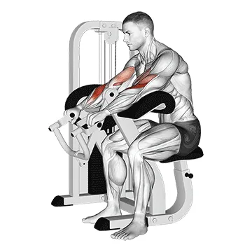 Lever Reverse-Grip Preacher Curl
