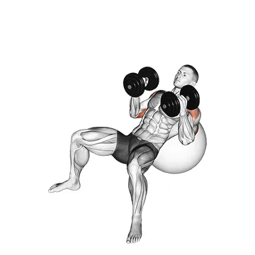 Incline Stability Ball Dumbbell Hammer Press